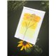 Květinová gratulace s echinaceou "Bylinkový sen"